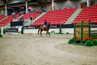 2025 - Haylee - Royal West - Monday October 20th - 02985