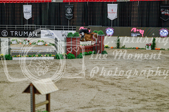 2025 - Haylee - Royal West - Monday October 20th - 06166