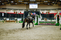 2025 - Haylee - Royal West - Monday October 20th - 01373