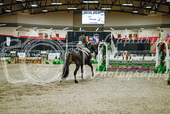 2025 - Haylee - Royal West - Monday October 20th - 01373