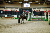 2025 - Haylee - Royal West - Monday October 20th - 01374