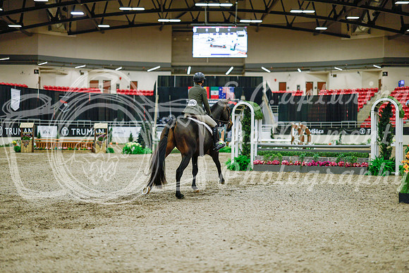 2025 - Haylee - Royal West - Monday October 20th - 01374