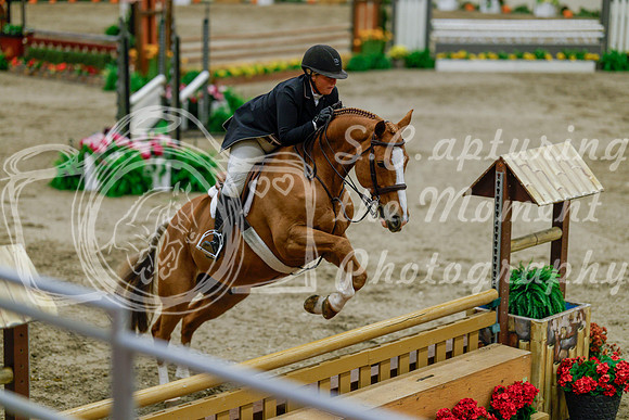 2025 - Haylee - Royal West - Monday October 20th - 06184