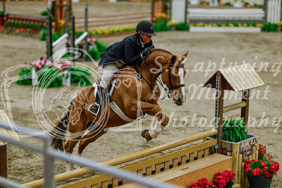 2025 - Haylee - Royal West - Monday October 20th - 06185