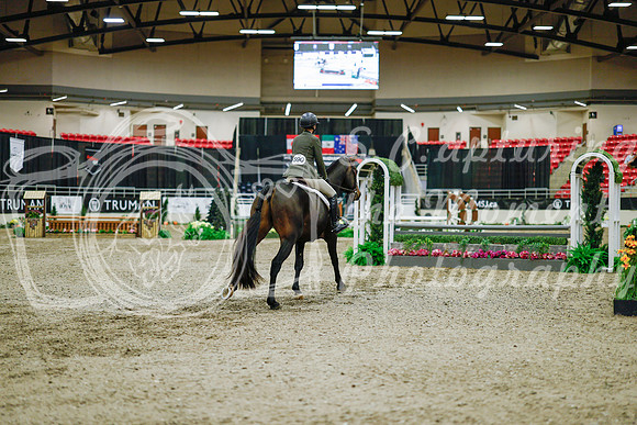 2025 - Haylee - Royal West - Monday October 20th - 01375
