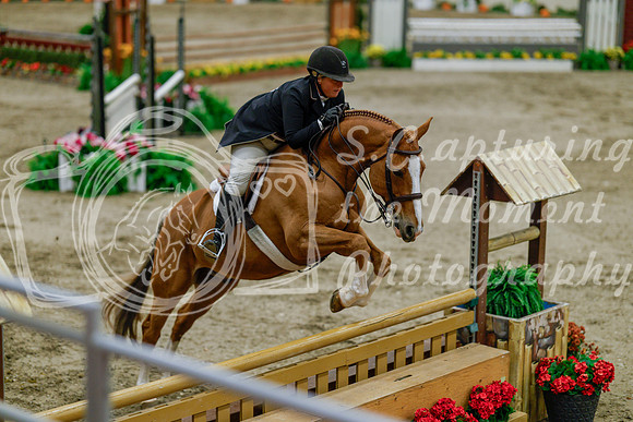 2025 - Haylee - Royal West - Monday October 20th - 06186