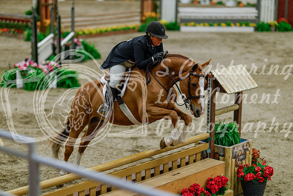 2025 - Haylee - Royal West - Monday October 20th - 06188