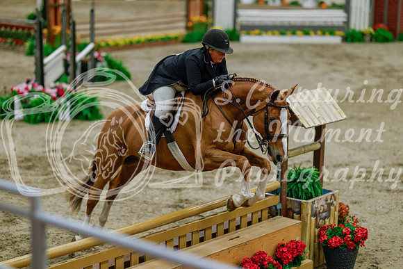 2025 - Haylee - Royal West - Monday October 20th - 06189