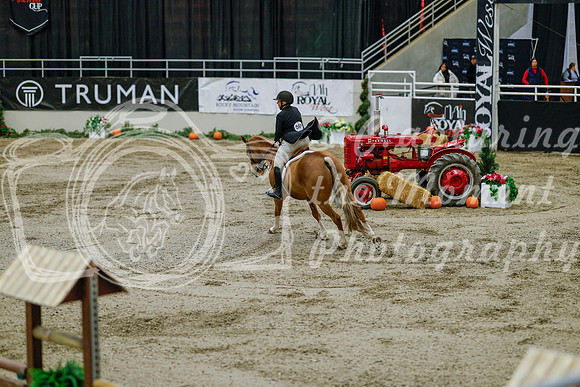 2025 - Haylee - Royal West - Monday October 20th - 06190