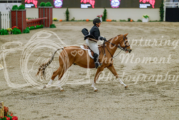 2025 - Haylee - Royal West - Monday October 20th - 06198