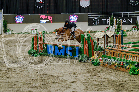 2025 - Haylee - Royal West - Monday October 20th - 06197