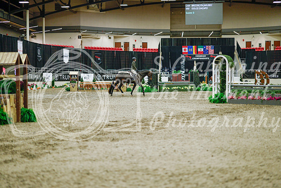 2025 - Haylee - Royal West - Monday October 20th - 01396