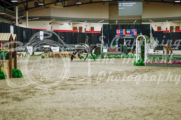 2025 - Haylee - Royal West - Monday October 20th - 01398