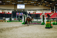 2025 - Haylee - Royal West - Monday October 20th - 01402