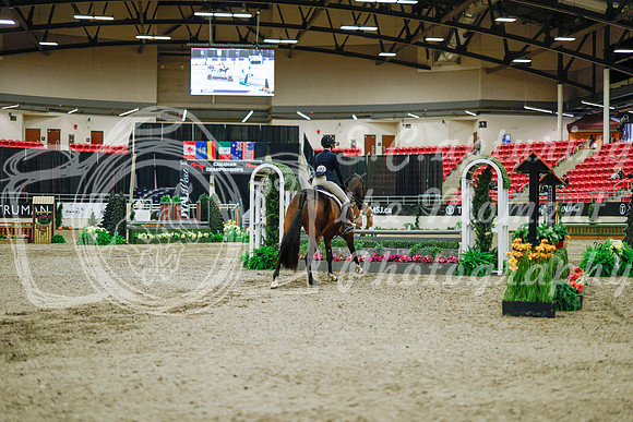 2025 - Haylee - Royal West - Monday October 20th - 01402