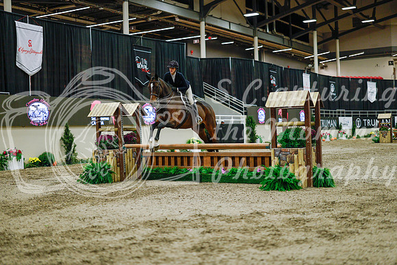 2025 - Haylee - Royal West - Monday October 20th - 01416