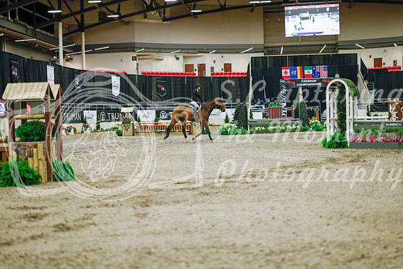 2025 - Haylee - Royal West - Monday October 20th - 00885