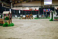 2025 - Haylee - Royal West - Monday October 20th - 02490