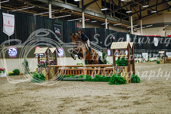 2025 - Haylee - Royal West - Monday October 20th - 00899