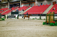 2025 - Haylee - Royal West - Monday October 20th - 01061