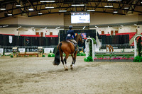 2025 - Haylee - Royal West - Monday October 20th - 01063