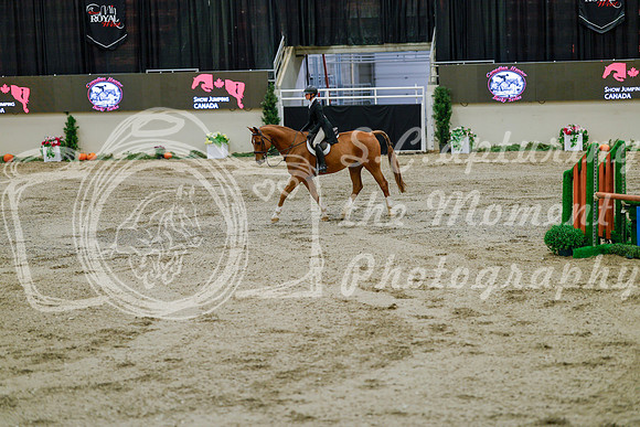 2025 - Haylee - Royal West - Monday October 20th - 05839