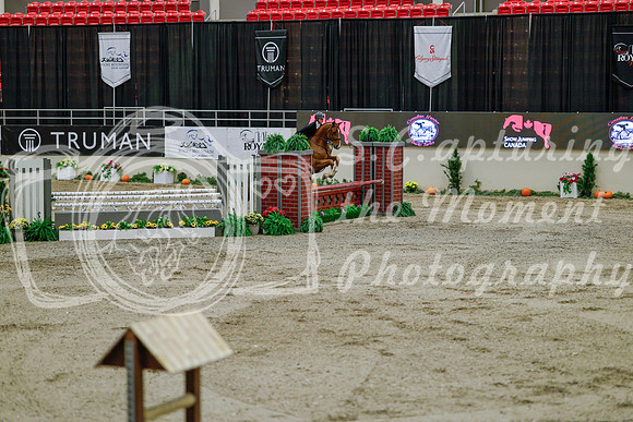 2025 - Haylee - Royal West - Monday October 20th - 05841