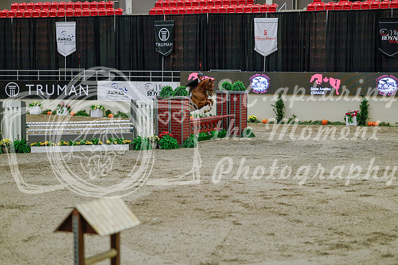 2025 - Haylee - Royal West - Monday October 20th - 05843