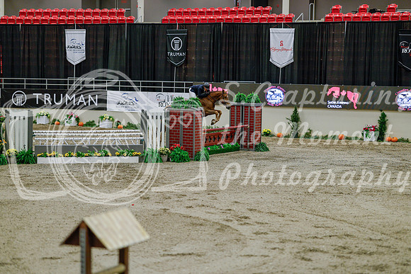 2025 - Haylee - Royal West - Monday October 20th - 06910
