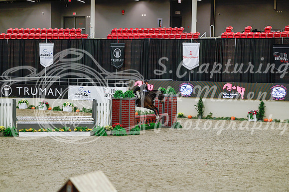2025 - Haylee - Royal West - Monday October 20th - 04506