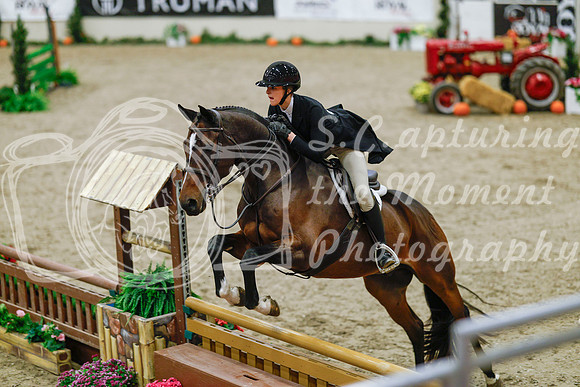 2025 - Haylee - Royal West - Monday October 20th - 04517