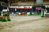 2025 - Haylee - Royal West - Monday October 20th - 01619