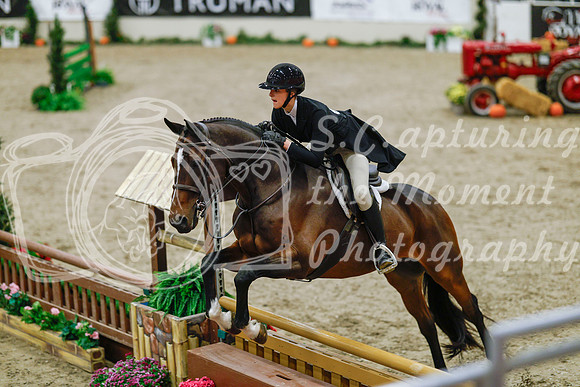 2025 - Haylee - Royal West - Monday October 20th - 04519