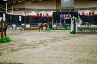 2025 - Haylee - Royal West - Monday October 20th - 03106