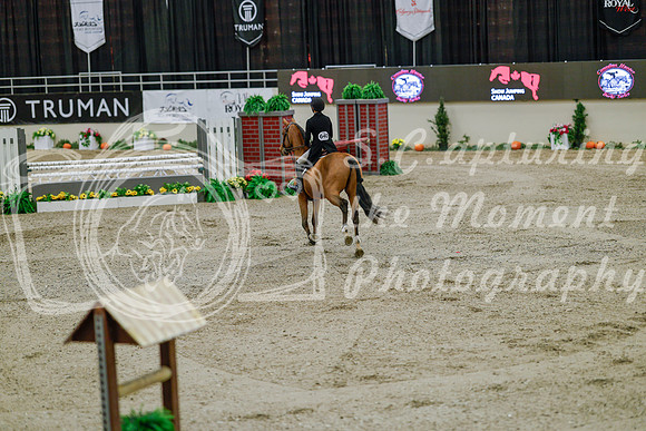 2025 - Haylee - Royal West - Monday October 20th - 05673
