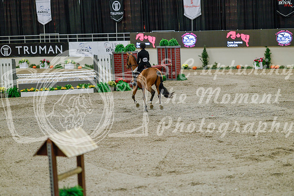 2025 - Haylee - Royal West - Monday October 20th - 05676