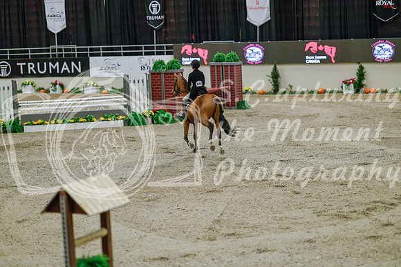 2025 - Haylee - Royal West - Monday October 20th - 05674