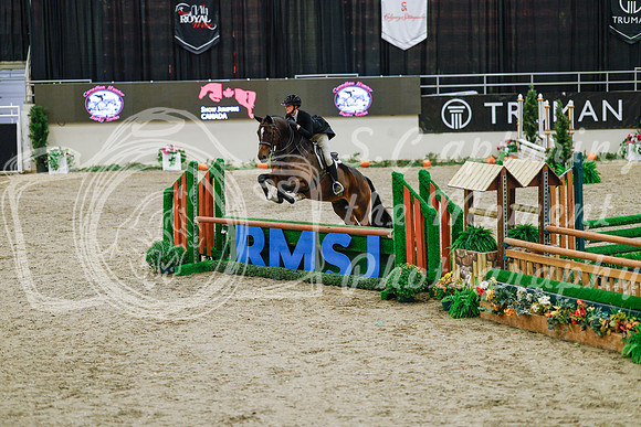 2025 - Haylee - Royal West - Monday October 20th - 04529