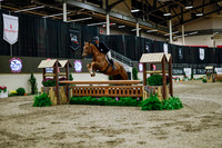 2025 - Haylee - Royal West - Monday October 20th - 03118