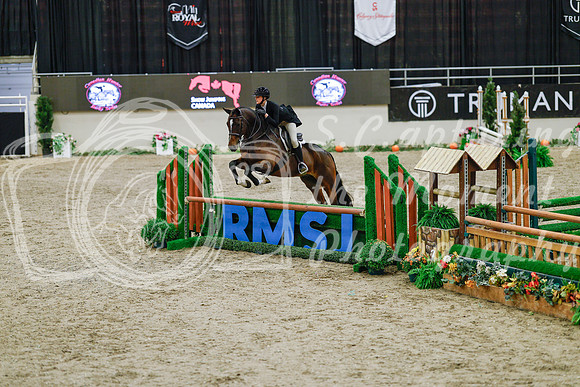 2025 - Haylee - Royal West - Monday October 20th - 04531