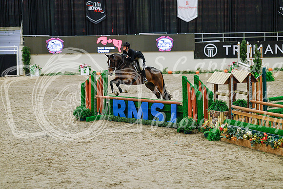 2025 - Haylee - Royal West - Monday October 20th - 04533