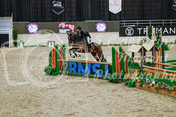 2025 - Haylee - Royal West - Monday October 20th - 04532