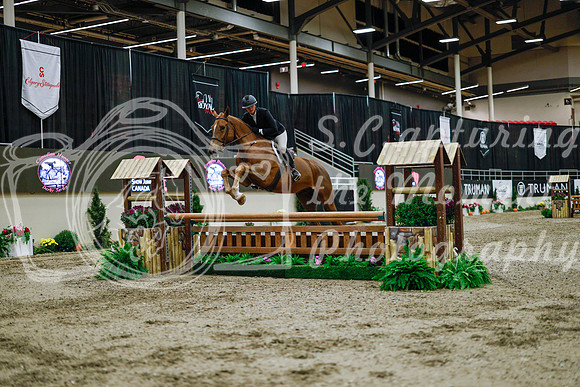 2025 - Haylee - Royal West - Monday October 20th - 03120