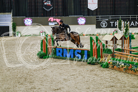 2025 - Haylee - Royal West - Monday October 20th - 04534