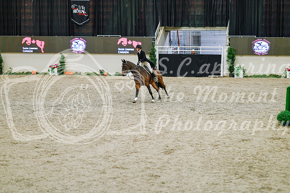 2025 - Haylee - Royal West - Monday October 20th - 04536