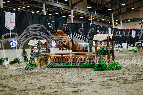 2025 - Haylee - Royal West - Monday October 20th - 03150