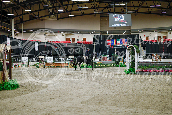 2025 - Haylee - Royal West - Monday October 20th - 02445