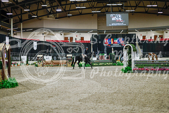 2025 - Haylee - Royal West - Monday October 20th - 02446