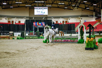 2025 - Haylee - Royal West - Monday October 20th - 00719