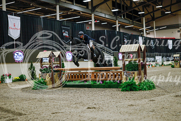2025 - Haylee - Royal West - Monday October 20th - 02462